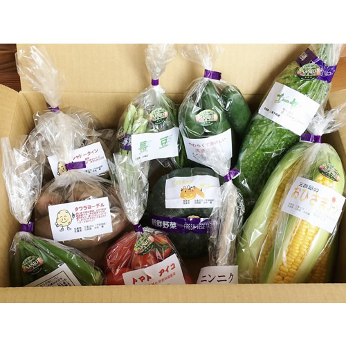 夏野菜セット2,000円分 詰め合わせ | 【えちご三四郎 農場】無農薬の  