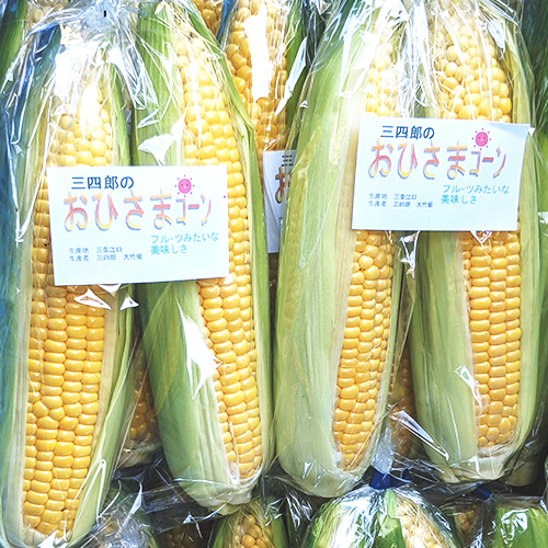 野菜セット | 【えちご三四郎 農場】無農薬の有機栽培米新潟コシヒカリ
